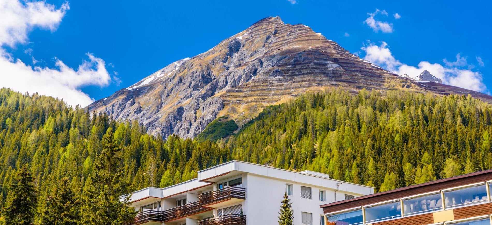 Alps Mountains covered with pine forest, Davos, Graubuenden, Switzerland